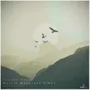 About Mystic Mountain Vibes Song